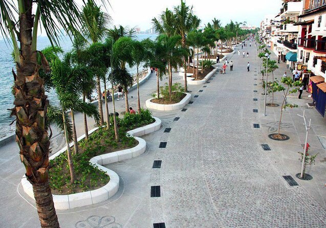 Private Tour of Puerto Vallarta and the Subtropical Forest - Key Highlights You’ll Notice Right Away