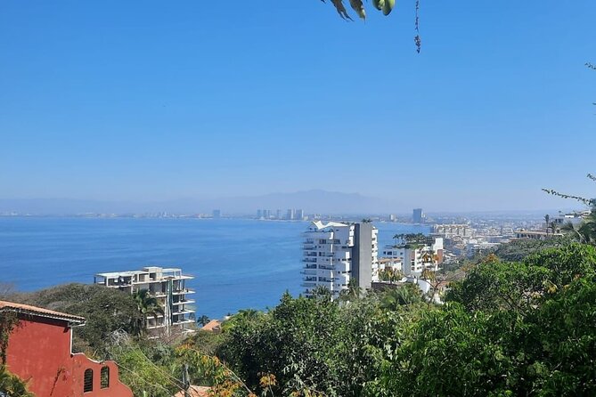 Private Tour of Puerto Vallarta and the Subtropical Forest - Malecón Boardwalk and the Caballito Photo Moment