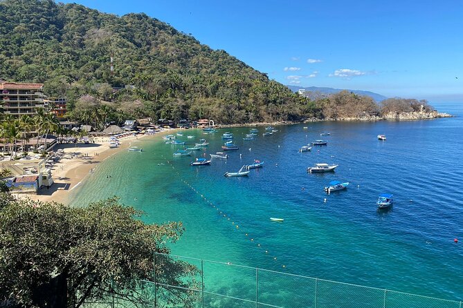 Private Tour of Puerto Vallarta and the Subtropical Forest - Tequilera Ojo de Vidrio: The Tasting That Makes the Tour Feel Worth It