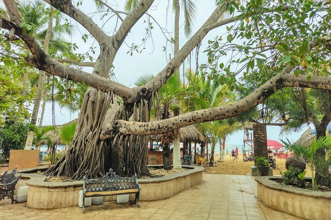 Private Tour, Sayulita & San Pancho - Private ride from Puerto Vallarta: comfort and timing that makes sense