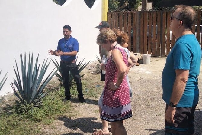 Private Tour, Sayulita & San Pancho - Sayulita guided stroll: crafts, town life, and good reasons to linger