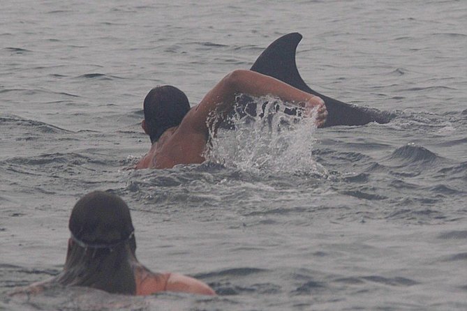 Private Wild Dolphin Encounter in Puerto Vallarta - Meeting at Marina Vallarta: the 9:00 AM start and how to plan for it