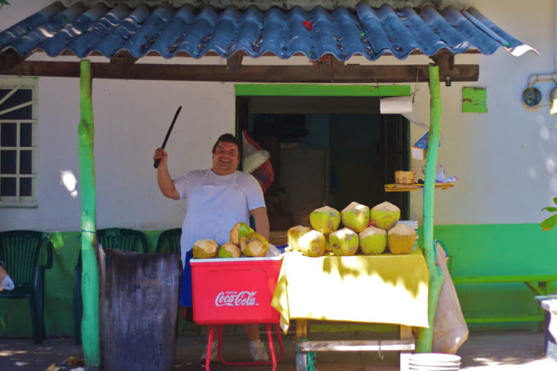 Puerto Vallarta 3-Hour Food Tour of Authentic Local Cuisine - The 7 tasting stops: what you’ll likely eat (and why it matters)