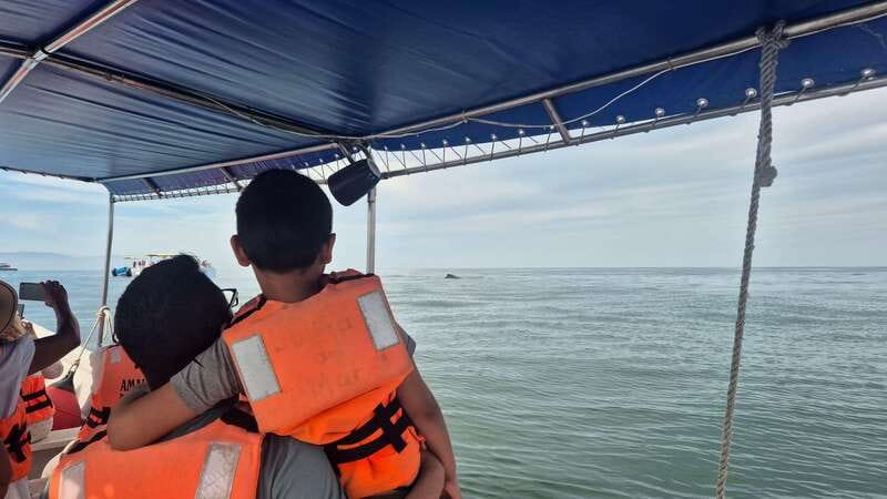 Puerto Vallarta: 3-Hour Whale Watching and Snorkeling - Snorkeling in Puerto Vallarta: What You Can Expect (and What to Confirm)
