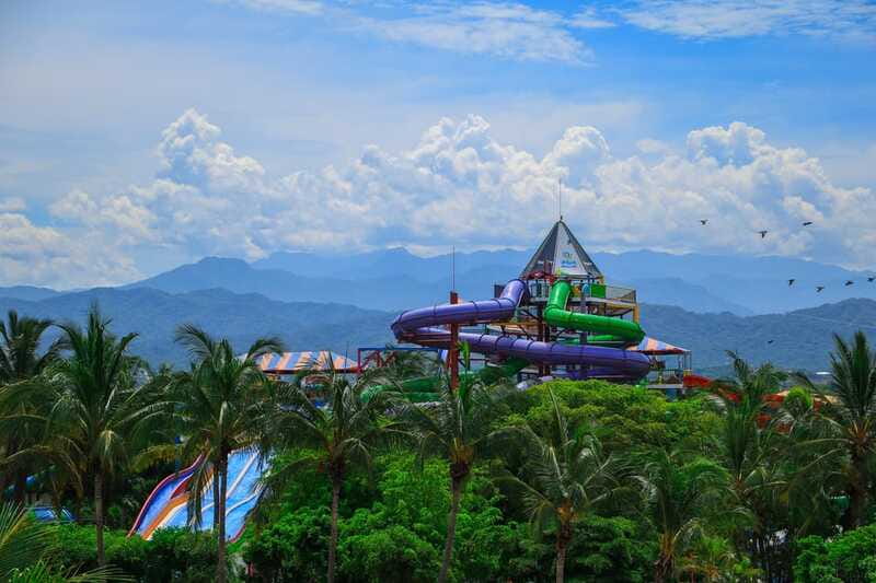 Puerto Vallarta: Aquaventuras Park Admission Ticket - Sea lion and dolphin presentations: education that fits the day