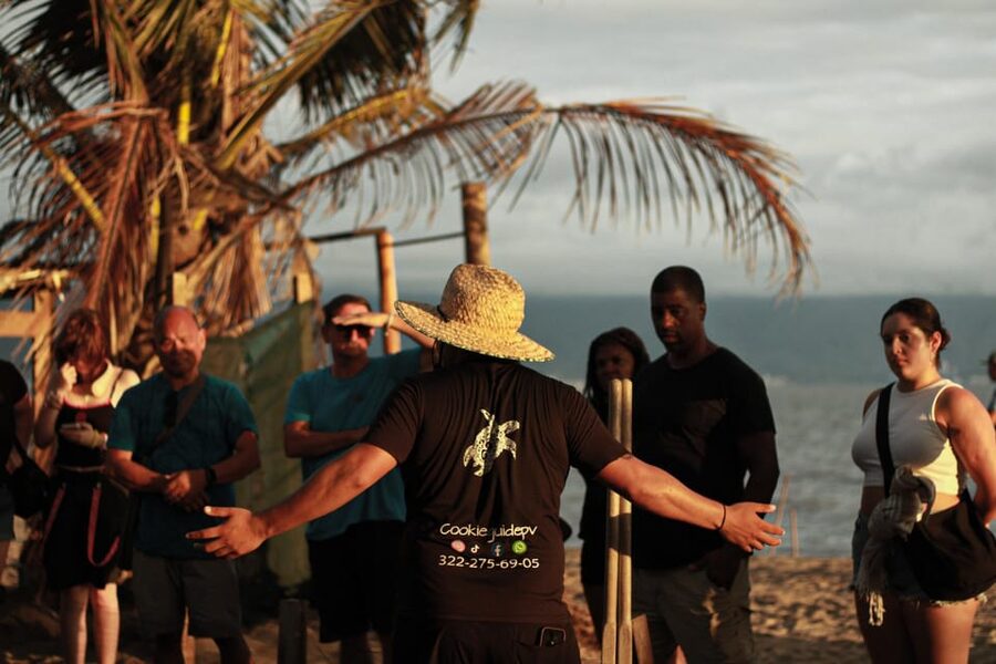 Puerto Vallarta: Baby Turtle Release in Conservation Area - Key highlights you’ll care about