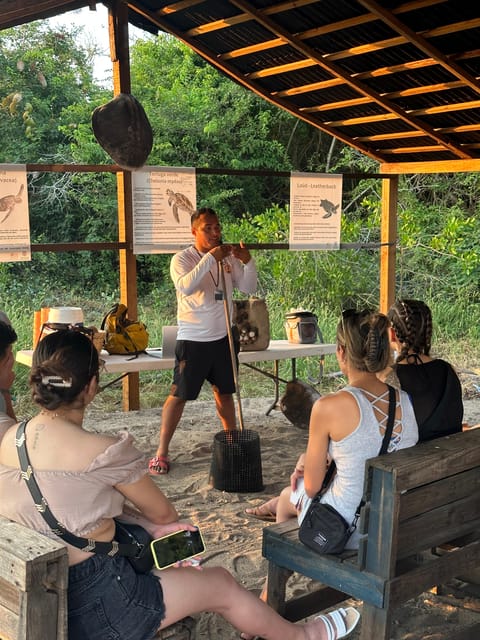 Puerto Vallarta: Baby Turtle Release in Conservation Area - What to bring (and what to skip) so the evening goes smoothly