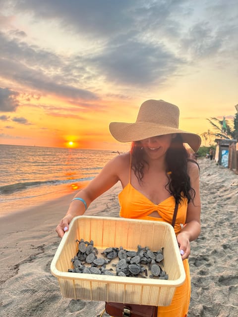 Puerto Vallarta: Baby Turtle Release in Conservation Area - Who this fits best, and who should consider alternatives