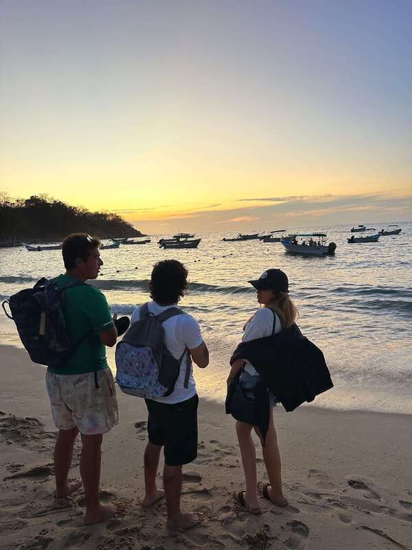 Puerto Vallarta: Bioluminescence in Los Arcos Marine Park - Key things to know before you go