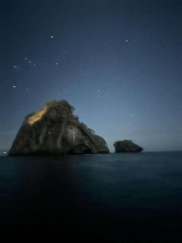 Puerto Vallarta: Bioluminescence in Los Arcos Marine Park - Los Arcos bioluminescence: why this night tour feels special