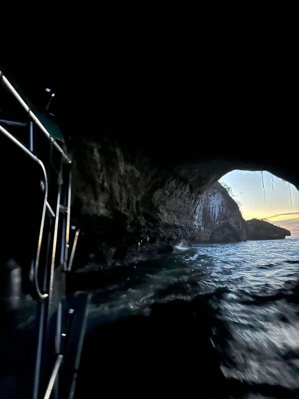 Puerto Vallarta: Bioluminescence in Los Arcos Marine Park - What you’ll see in Los Arcos during the 90-minute park cruise