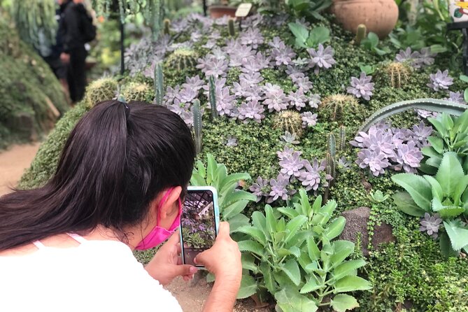 Puerto Vallarta Botanical Gardens Hiking Tour - Jardin Botanico de Vallarta: Orchid Trails and Real Plant Talk