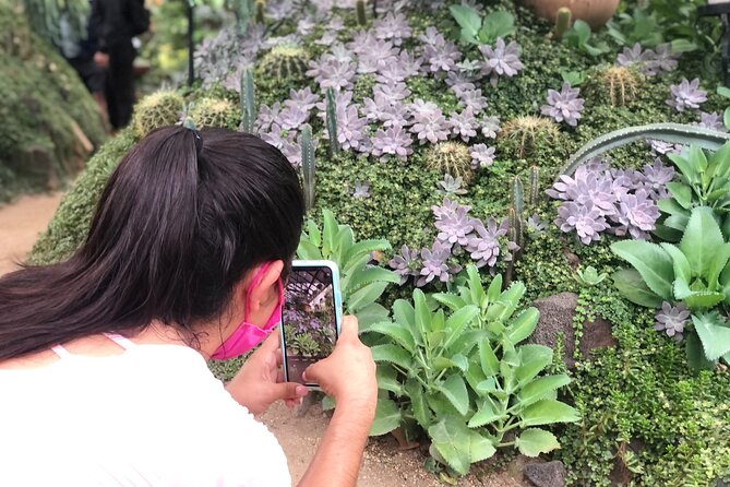Puerto Vallarta Botanical Gardens Hiking Tour - Animal Sanctuary: Rescued Wildlife Up Close (With Boundaries)