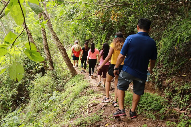 Puerto Vallarta Botanical Gardens Hiking Tour - Tequila Tasting: A Guided Culture Stop, Not a Party Shot