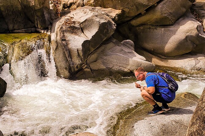 Puerto Vallarta Botanical Gardens Hiking Tour - What’s Included (and What You’ll Pay For) for a $102 Day