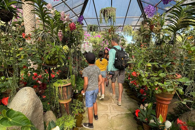 Puerto Vallarta Botanical Gardens Hiking Tour - Who This Tour Fits Best (And Who Might Rethink It)