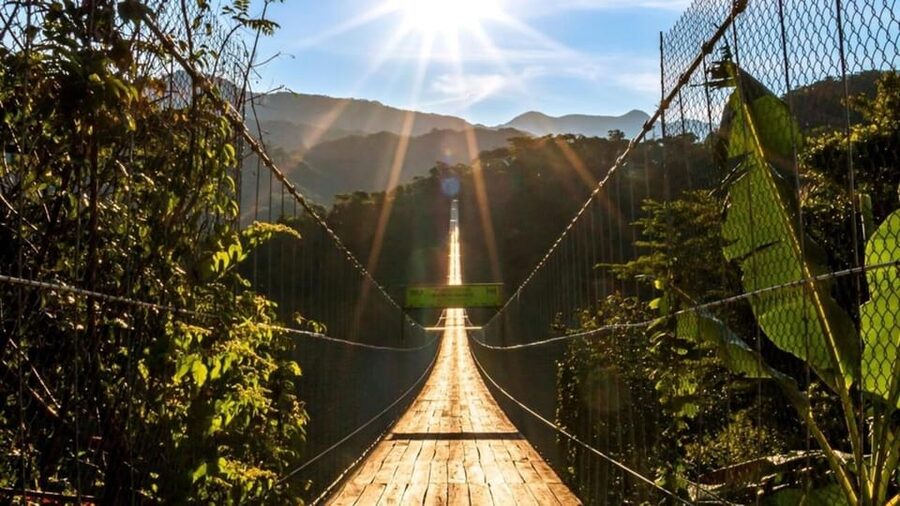 Puerto Vallarta: Canopy River + Jorullo Bridge Pass - Price and Value: Why This Often Feels Worth $122