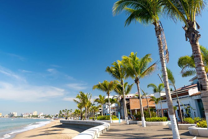 Puerto Vallarta City Tour - Lunch and Midday Breaks: The Pace Reset You Might Love (or Find Off-Schedule)