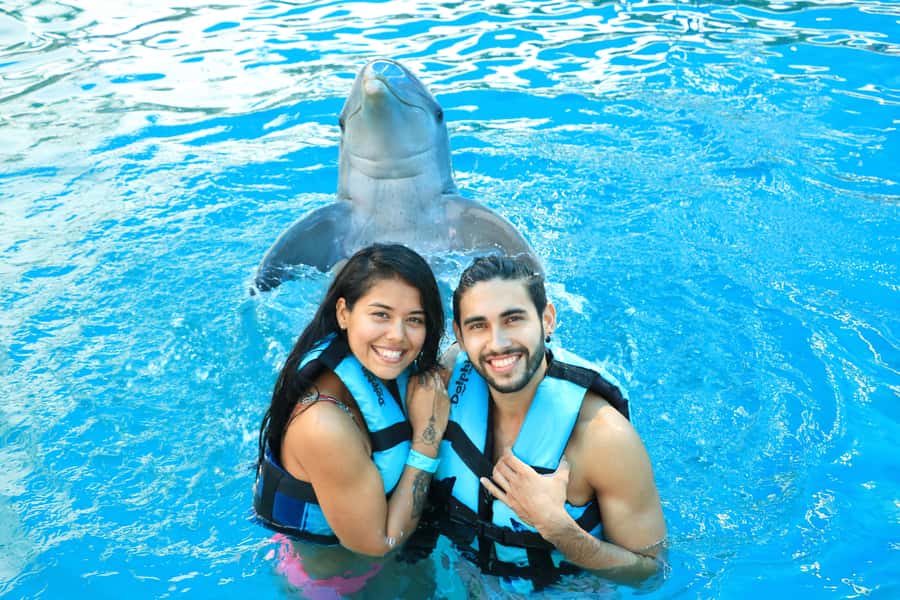 Puerto Vallarta: Dolphin Swimming and Aquaventuras Park - Photos and check-in: where people’s days can get awkward