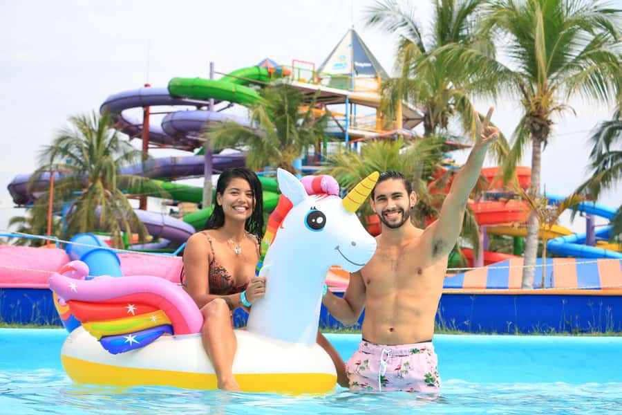 Puerto Vallarta: Dolphin Swimming and Aquaventuras Park - Dolphin conditions and ethics: my practical take