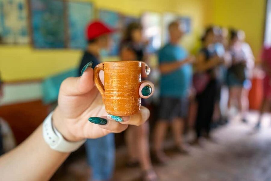 Puerto Vallarta: Guided San Sebastian Tour - Key Highlights You’ll Care About