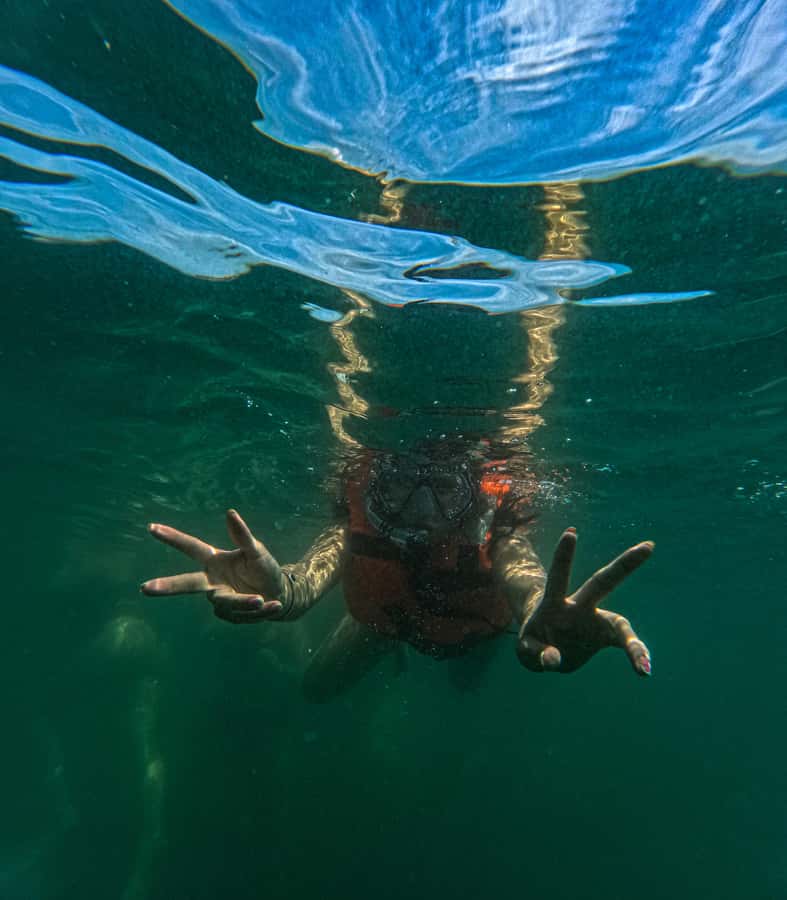 Puerto Vallarta: Hidden Beaches & Adventure Park - Who should book this Puerto Vallarta adventure day