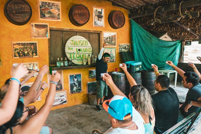 Puerto Vallarta Jungle Tour or RZR + Tequila - Key highlights at a glance