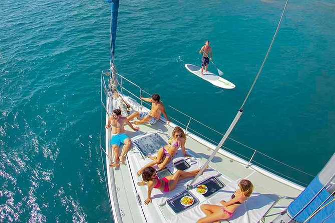 Puerto Vallarta Luxury Sailing with Premium Open bar & lunch - Wildlife Chances: Dolphins, Whales in Season, Turtles, and Rays