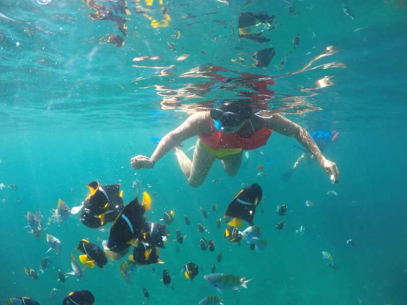 Puerto Vallarta: Luxury Yacht Tour with Lunch and Open Bar - Key highlights you’ll care about