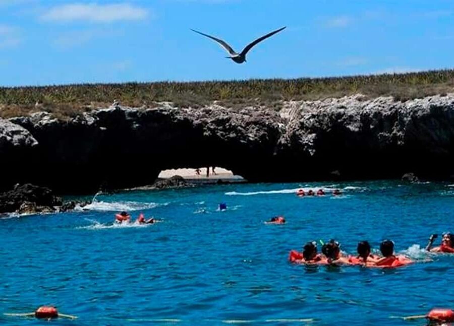 Puerto Vallarta: Marietas Island, Breakfast, Lunch, Open Bar - Wildlife Chances: Whales, Dolphins, Turtles, Manta Rays, Birds