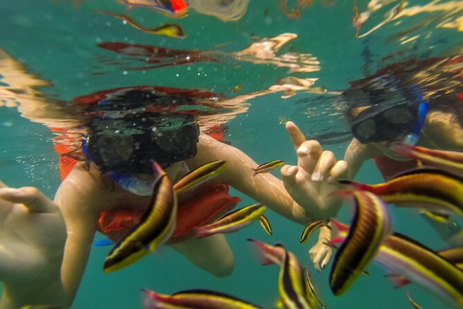 Puerto Vallarta: Marietas Islands with Open Bar and Food - Snorkeling reality check: small zones, jellyfish risk, and reboarding
