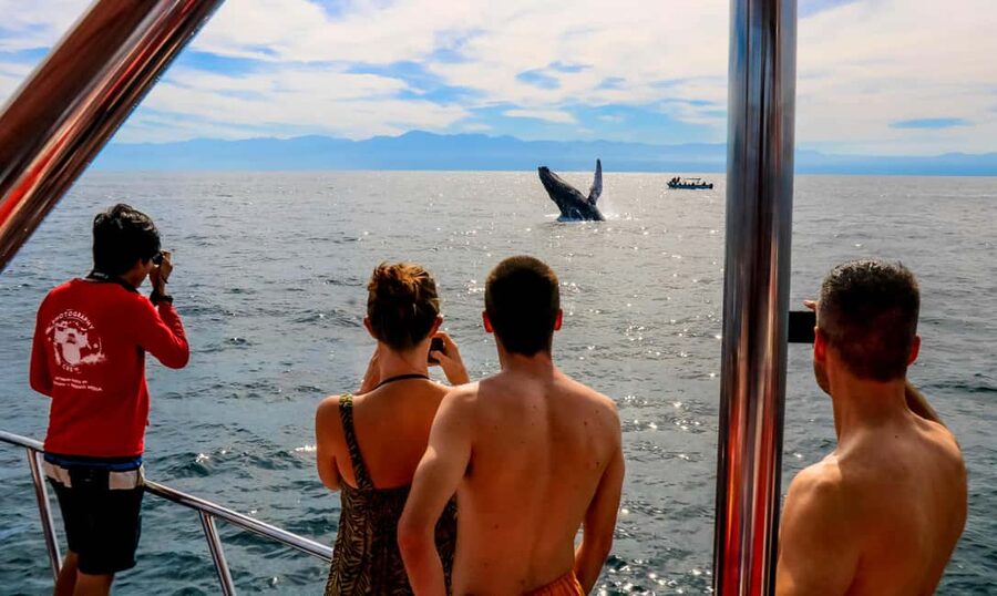 Puerto Vallarta: Mega Yacht Whale Watching Sunset Cruise - Mega Yacht Whale Watching in Puerto Vallarta: What You’re Really Booking