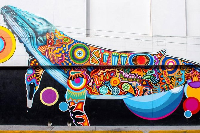 Puerto Vallarta Private Art Tour - Street Art You Can Actually Read: The Real Goal of This Tour