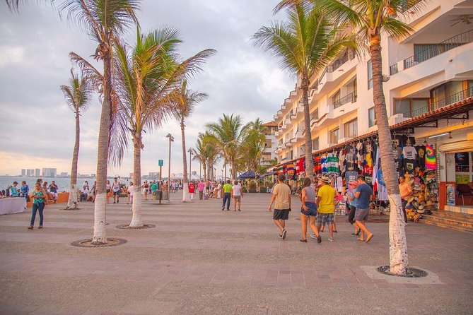 Puerto Vallarta Private Art Tour - Price and Value: Is $65 Worth a Two-Hour Walk?