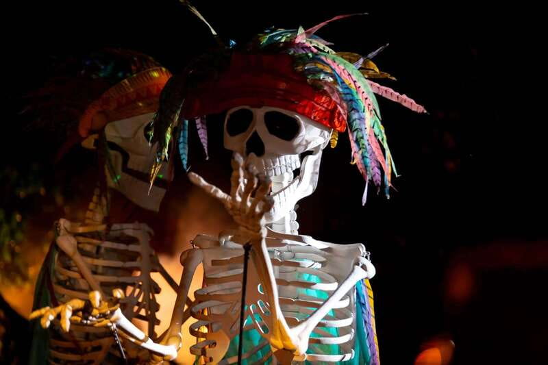 Puerto Vallarta Rhythms of the night, Show & Buffet dinner - The experience is staged, so your expectations should be too