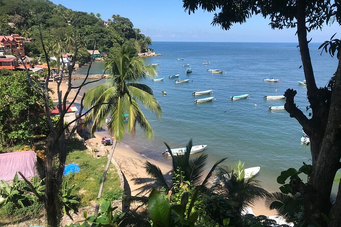 Puerto Vallarta's Yelapa Boat & Walking Tour - Puerto Vallarta to the water: bus views, granite islands, and whale season