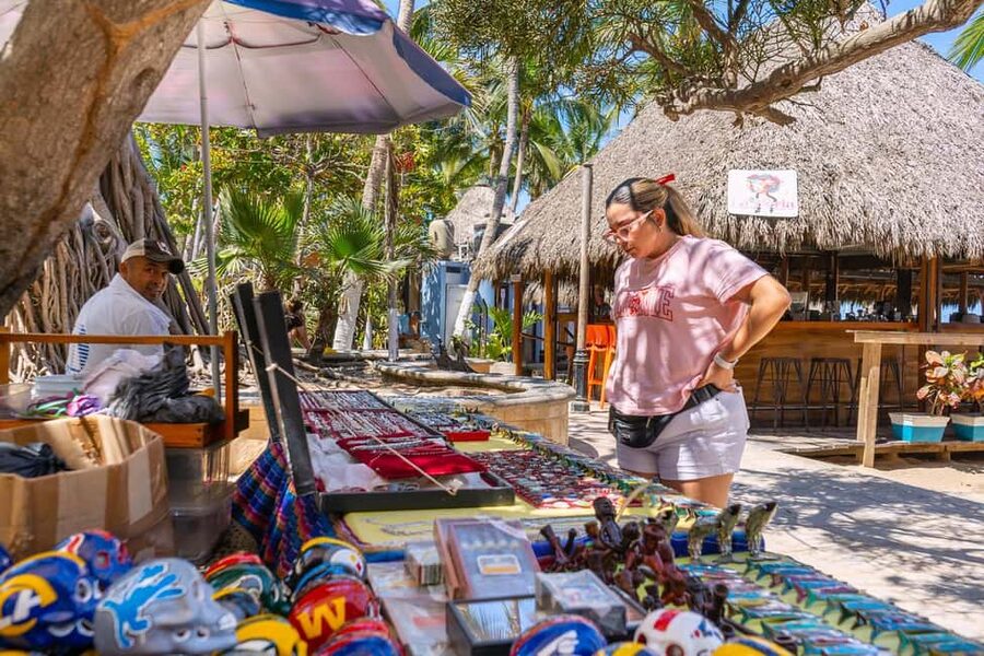 Puerto Vallarta: Sayulita and San Pancho Beaches Tour - Surf views and optional surf classes: do you want to ride or watch?