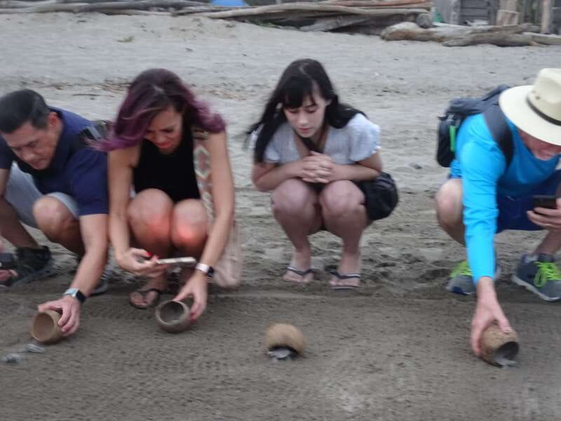 Puerto Vallarta: Sea turtle release at Sunset - Sea Turtle Camp and Nursery Visit: Where Conservation Gets Real