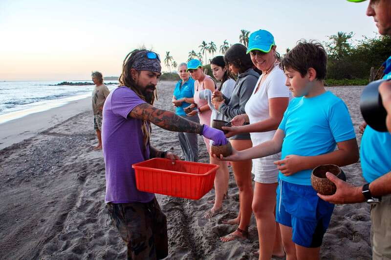 Puerto Vallarta: Sea turtle release at Sunset - The Hatchling Release at Sunset: The Moment That Stays With You