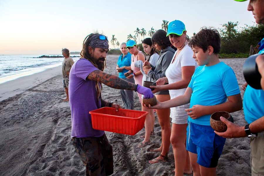 Puerto Vallarta: Sea turtle release at Sunset - Who This Tour Fits Best (and Who Should Reconsider)