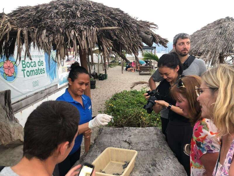 Puerto Vallarta: Sea turtle release at Sunset - Practical Tips: What to Bring for a Comfortable Sunset Release