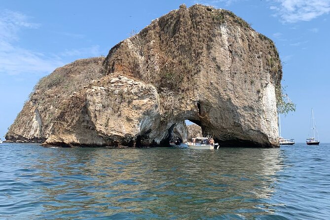 Puerto Vallarta snorkel tour at Los Arcos - The boat route: dolphins and wildlife on the way out