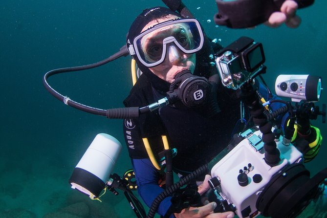 Puerto Vallarta Undersea Private Scuba Diving - Why This Private Puerto Vallarta Boat Feels Like Your Own Trip