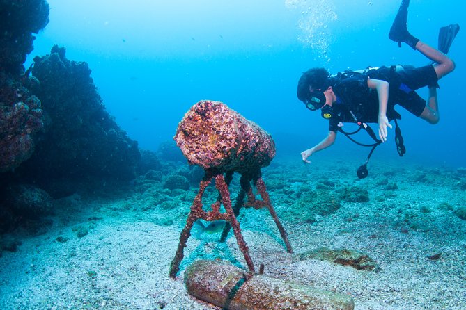 Puerto Vallarta Undersea Private Scuba Diving - Hidden Beach Access: The Optional Fee You Should Decide Early