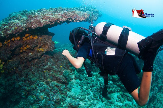 Puerto Vallarta Undersea Private Scuba Diving - Snacks, Gear, and the Crew’s Calm-Headed Approach
