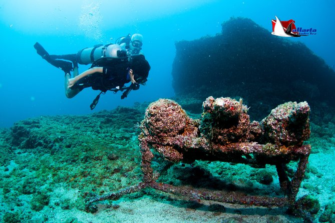 Puerto Vallarta Undersea Private Scuba Diving - Price Breakdown: The Real Value Behind the $550 Private Tour