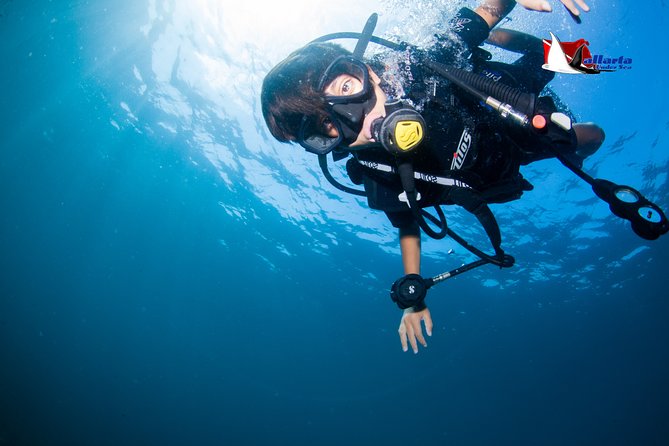 Puerto Vallarta Undersea Private Scuba Diving - What It’s Like Underwater: Rocky Spots, Tight Features, and Real Coaching