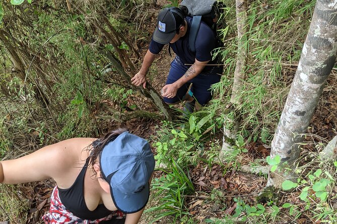 Puerto Vallarta Waterfall Hike - How “easy” compares to real jungle hiking