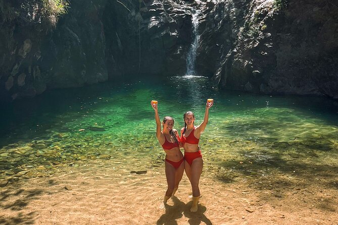 Puerto Vallarta Waterfall Hike - Wildlife spotting you’ll actually remember
