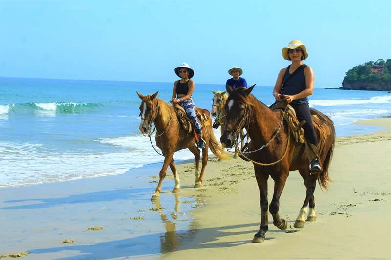 Punta de Mita/Sayulita: Horseback Riding Tour - Who Should Book This Punta de Mita / Sayulita Horse Tour